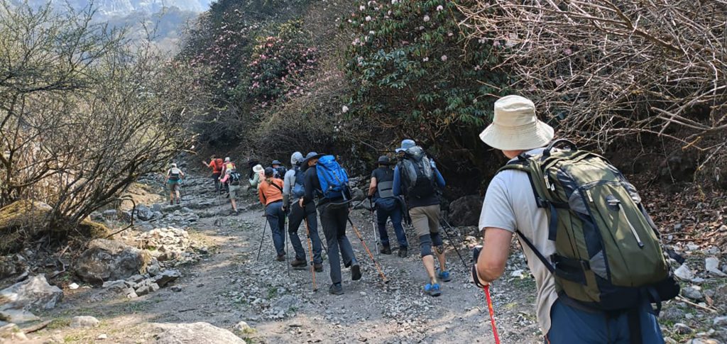 Langtang Trek