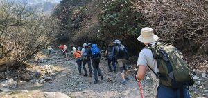 Langtang Gosainkunda Trek